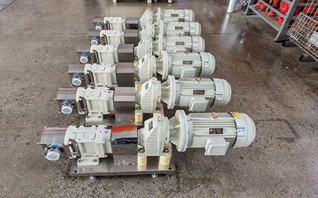 3RP Series Rotary Lobe Pump